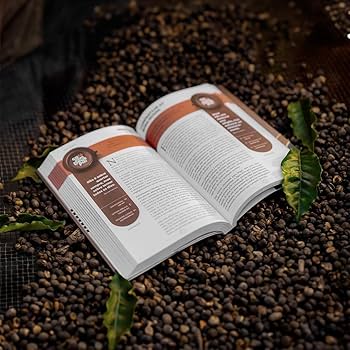 Kit 2 Livros: Café Com Deus Pai 2025 (Porções Diárias De